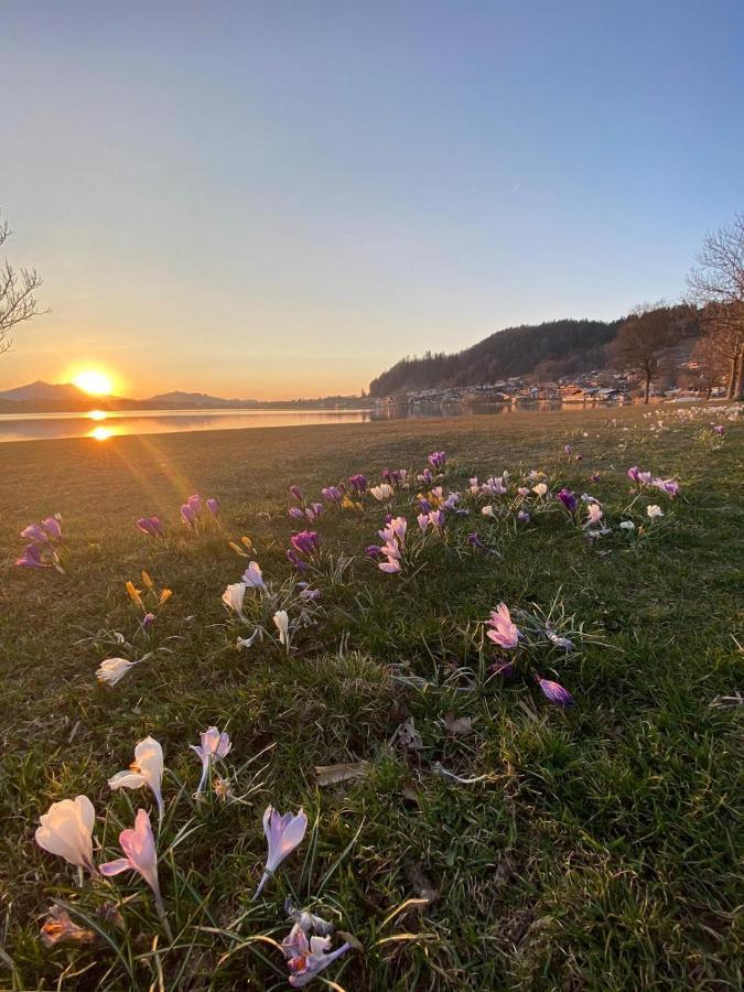 Hotel Geiger Fussen Bagian luar foto
